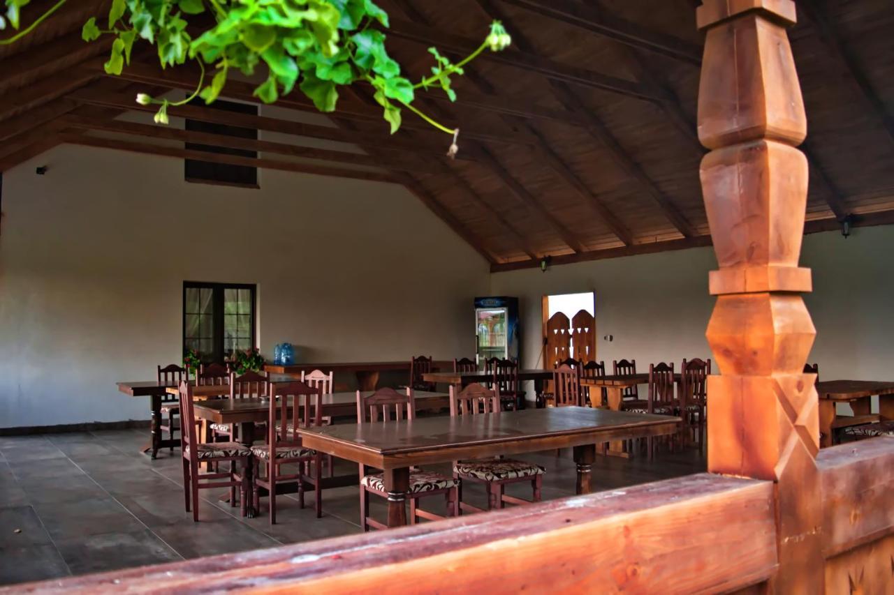 Conacul Cosaului Hotel Feresti Buitenkant foto