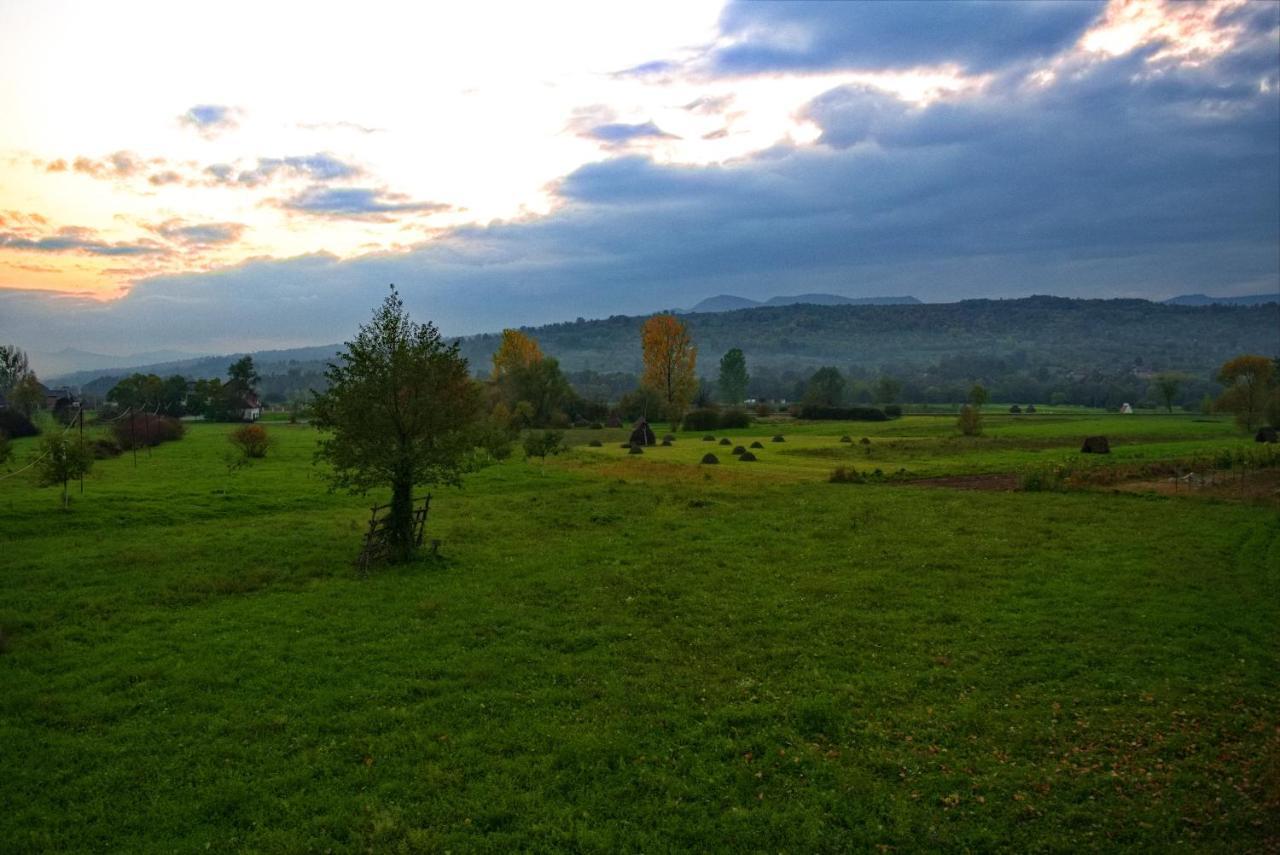Conacul Cosaului Hotel Feresti Buitenkant foto