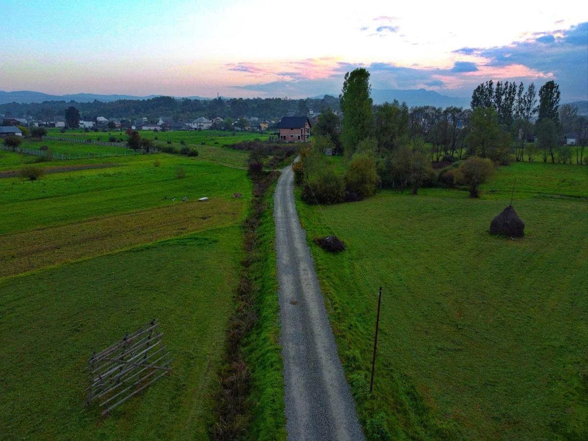 Conacul Cosaului Hotel Feresti Buitenkant foto