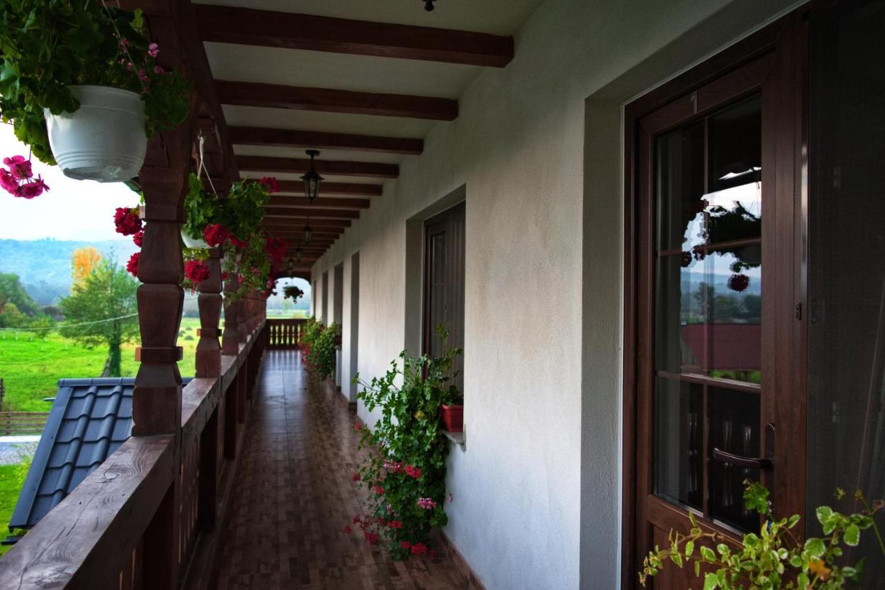 Conacul Cosaului Hotel Feresti Buitenkant foto