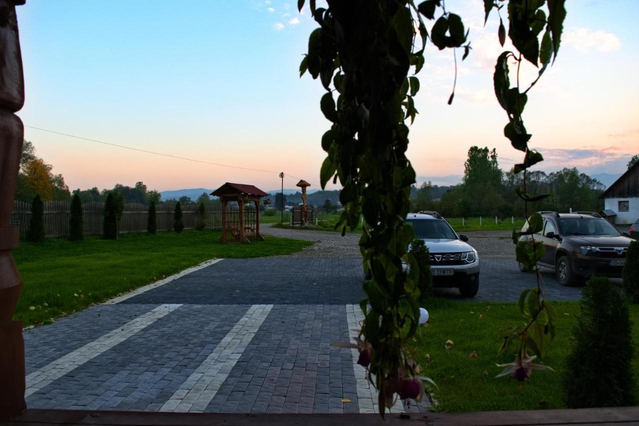 Conacul Cosaului Hotel Feresti Buitenkant foto