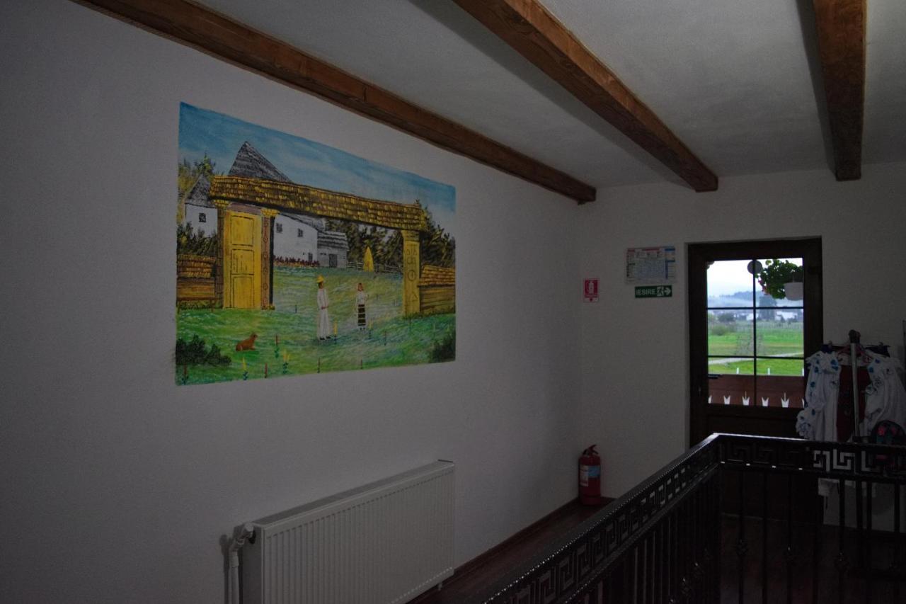 Conacul Cosaului Hotel Feresti Buitenkant foto
