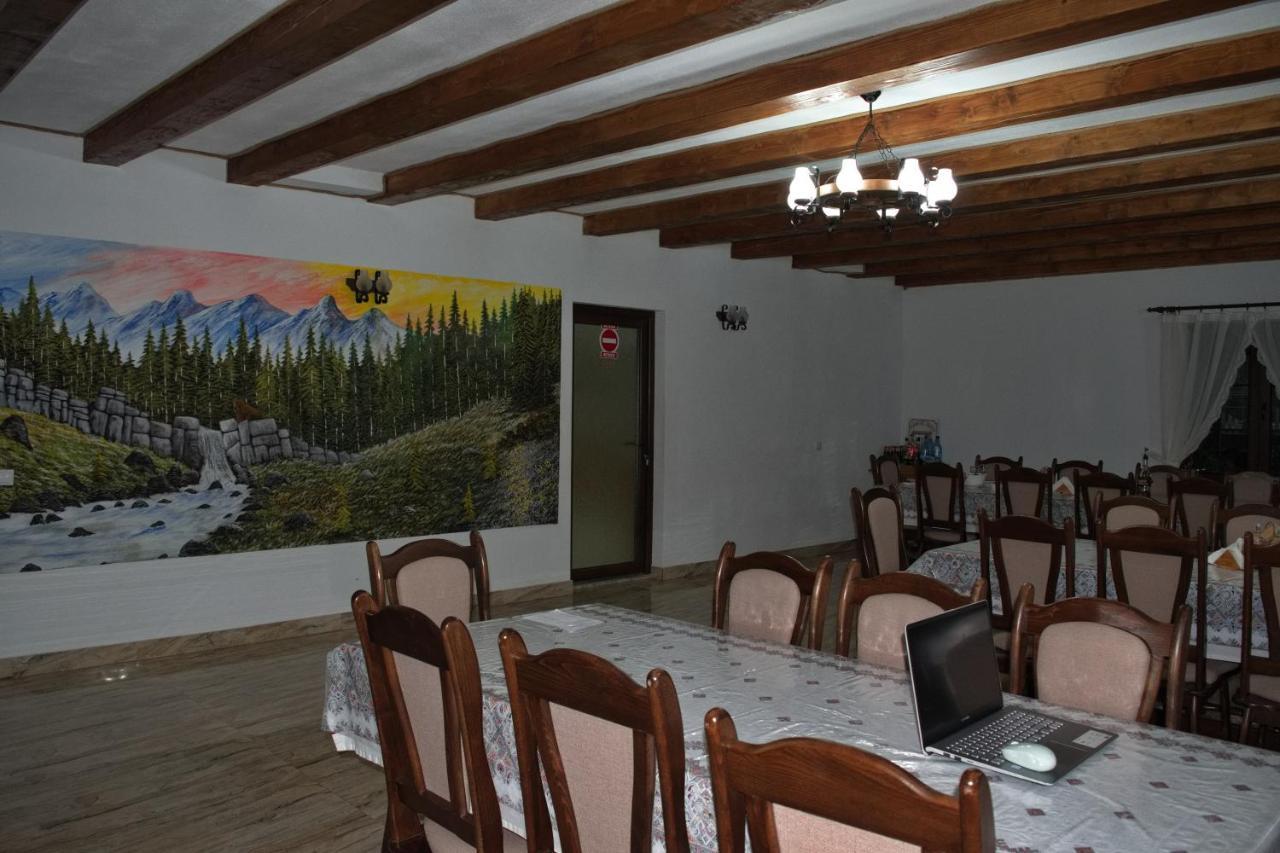 Conacul Cosaului Hotel Feresti Buitenkant foto