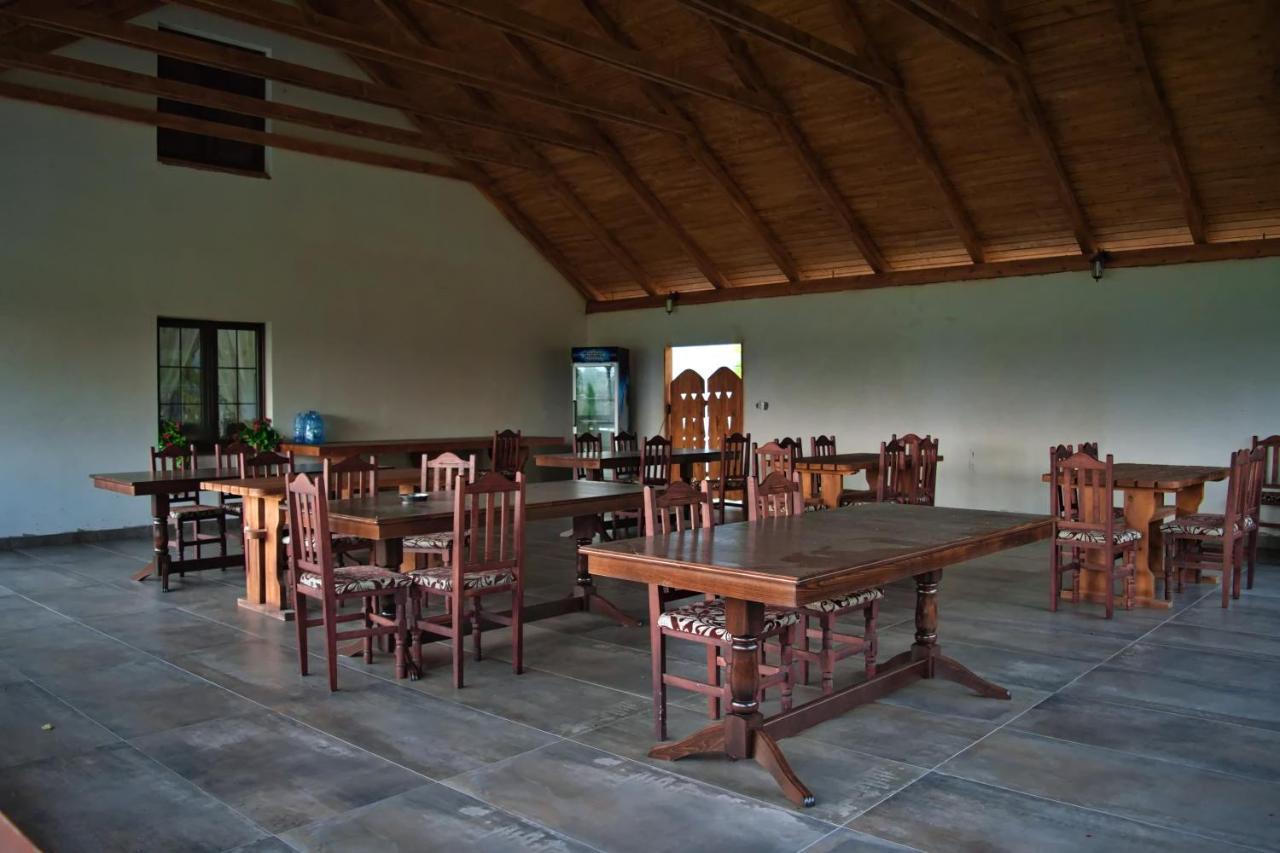 Conacul Cosaului Hotel Feresti Buitenkant foto