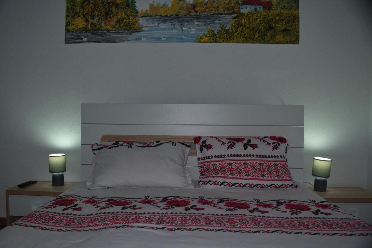 Conacul Cosaului Hotel Feresti Buitenkant foto